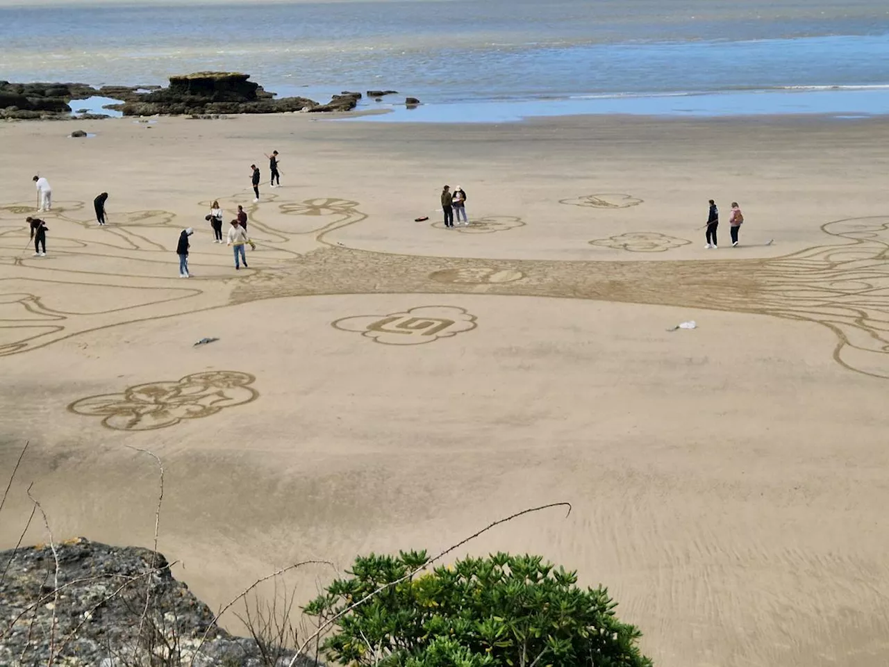 Royan : du beach art pour les élèves du CFA de l’Agrocampus de Saintonge