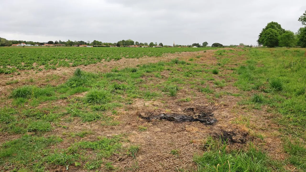 Vidéo. Landes : alertés par l’odeur, ils découvrent un corps calciné