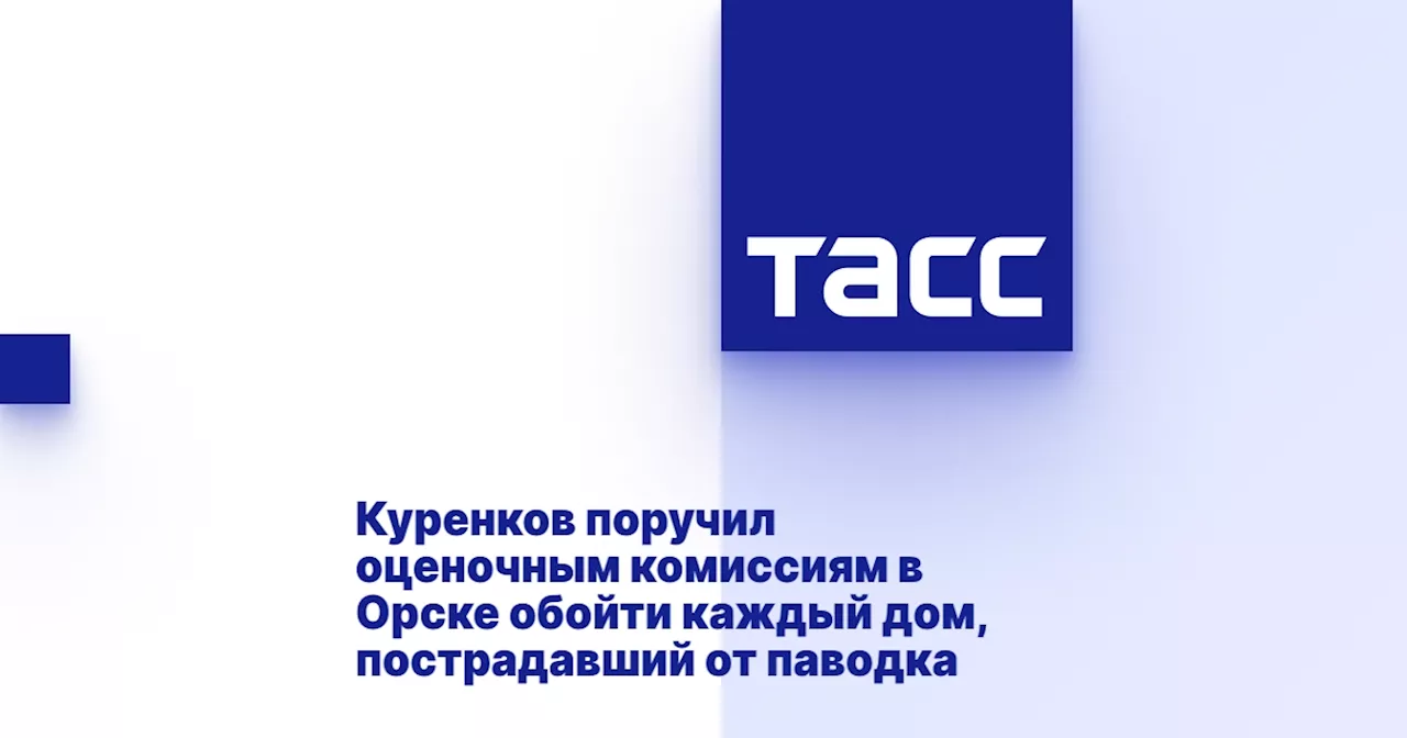 Куренков поручил оценочным комиссиям в Орске обойти каждый дом, пострадавший от паводка