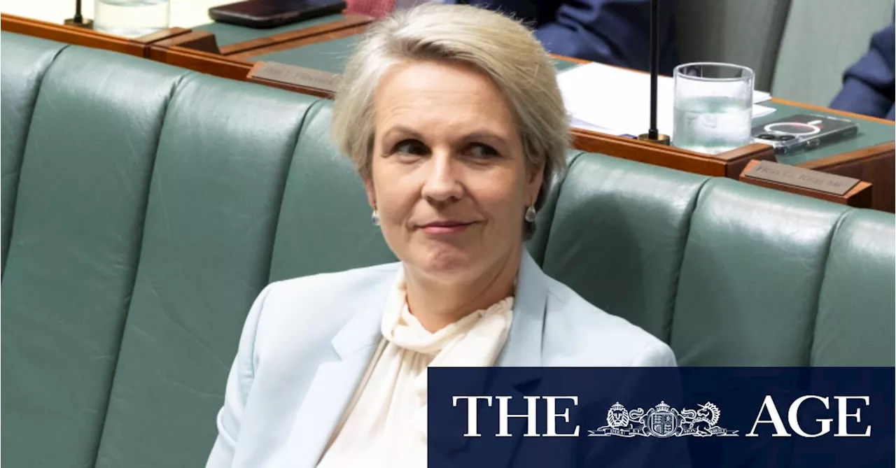 Plibersek scales back environment reforms as coral bleaching goes global