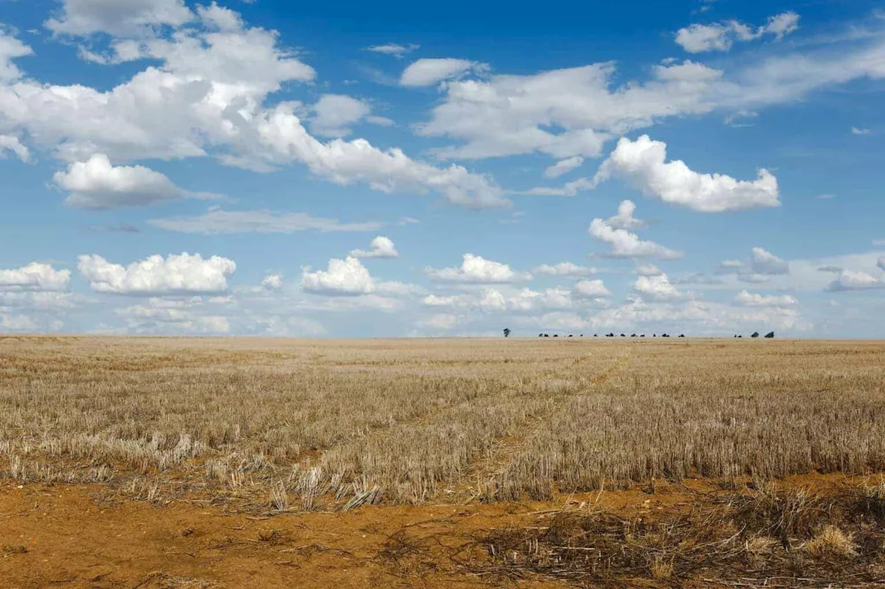 South African Community Transforms Struggle for Land Restitution into Eco-Tourism Venture