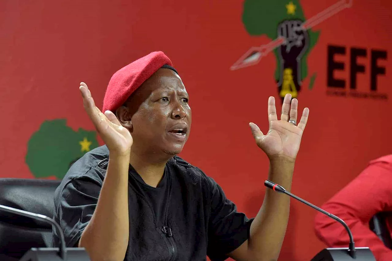 ‘We have no problem with white people’ − Malema