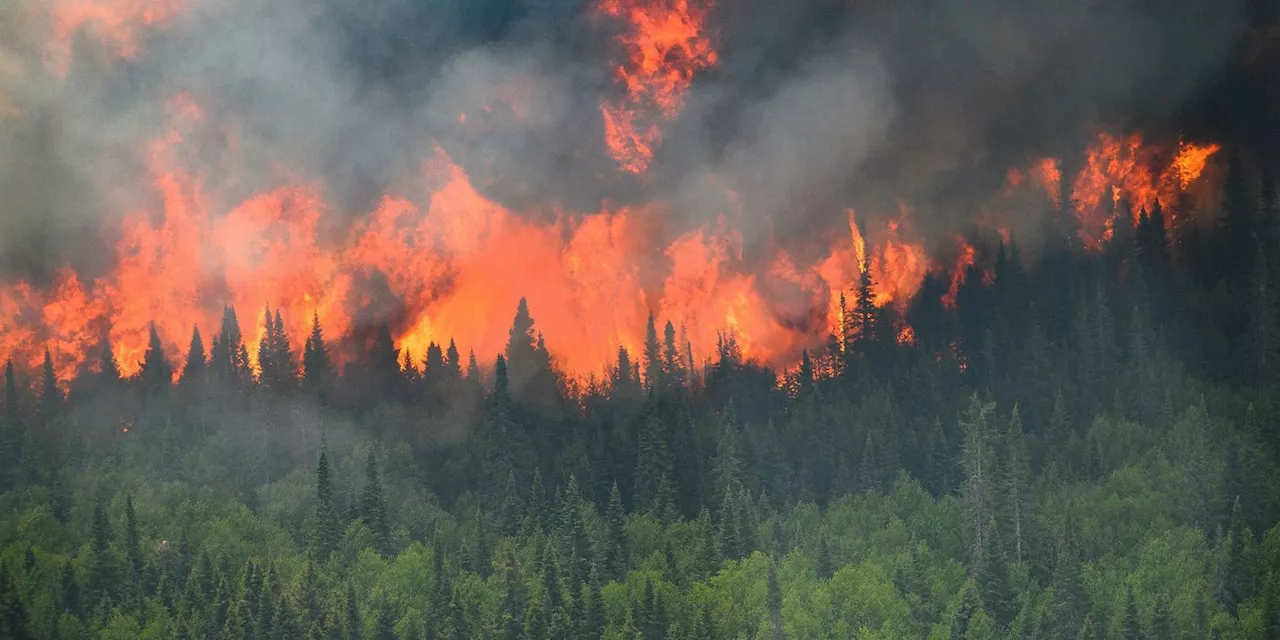 Canada's Response to Wildfires: Protecting Public Health