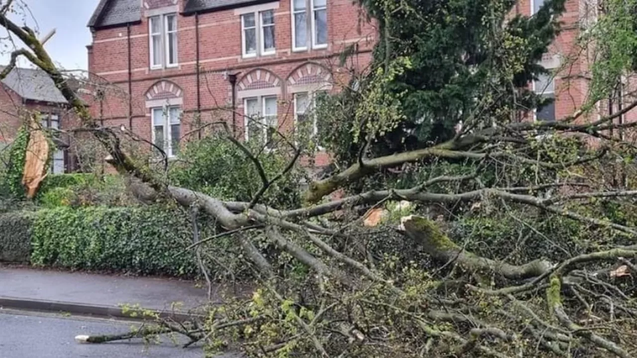 ‘Tornado’ hits England as thunderstorms sweep UK after hottest weekend of 2024