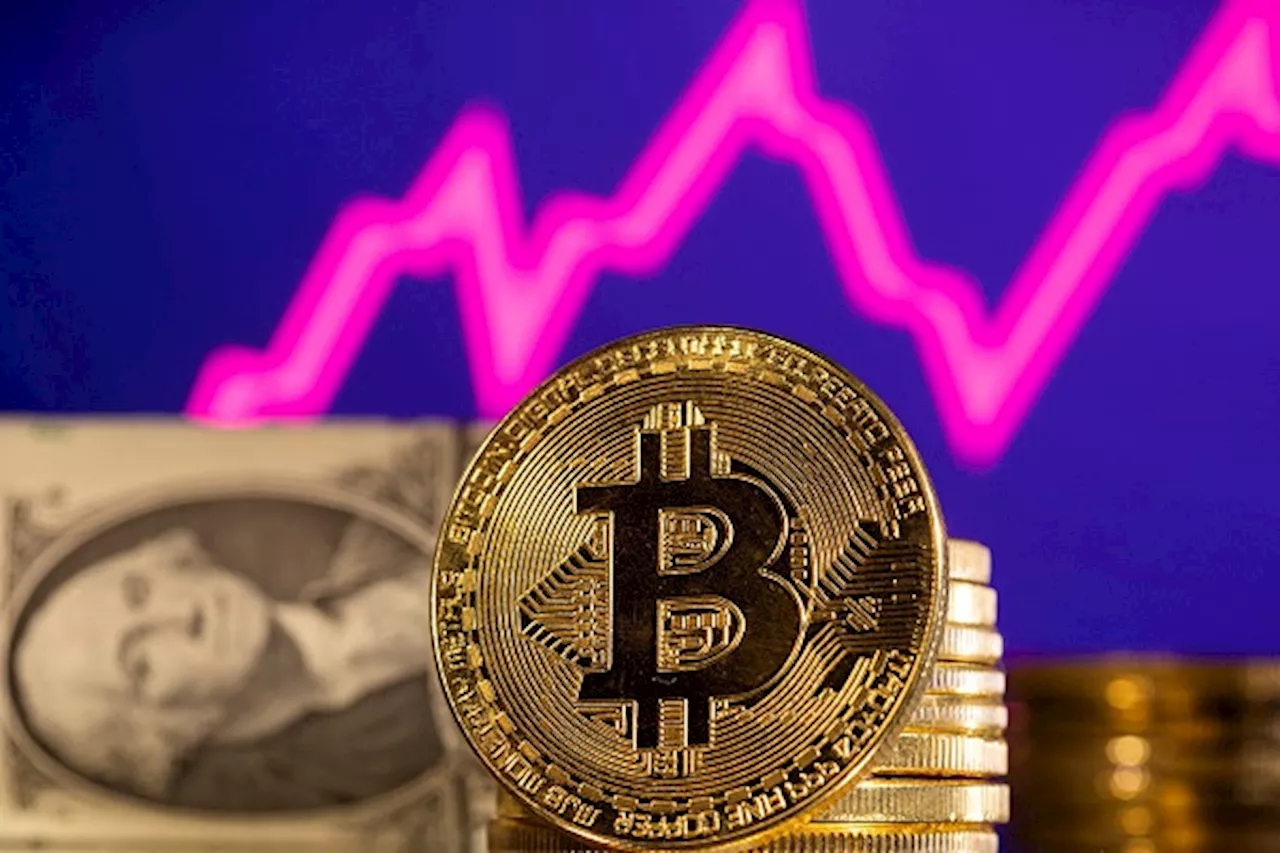 The Price Paradox: Unraveling Bitcoin's Behavior Post-Halving