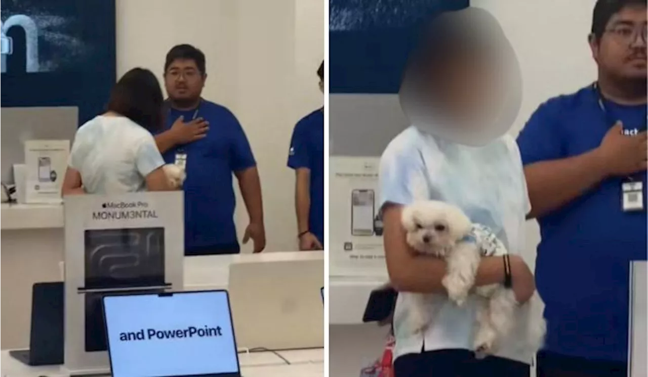 Customer Causes Trouble at Machines Store for Not Being Allowed to Bring Pet Dog Inside