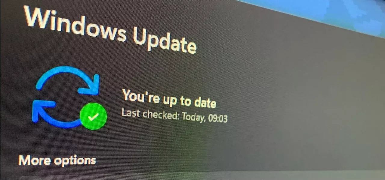 Open source versus Microsoft: The new rebellion begins