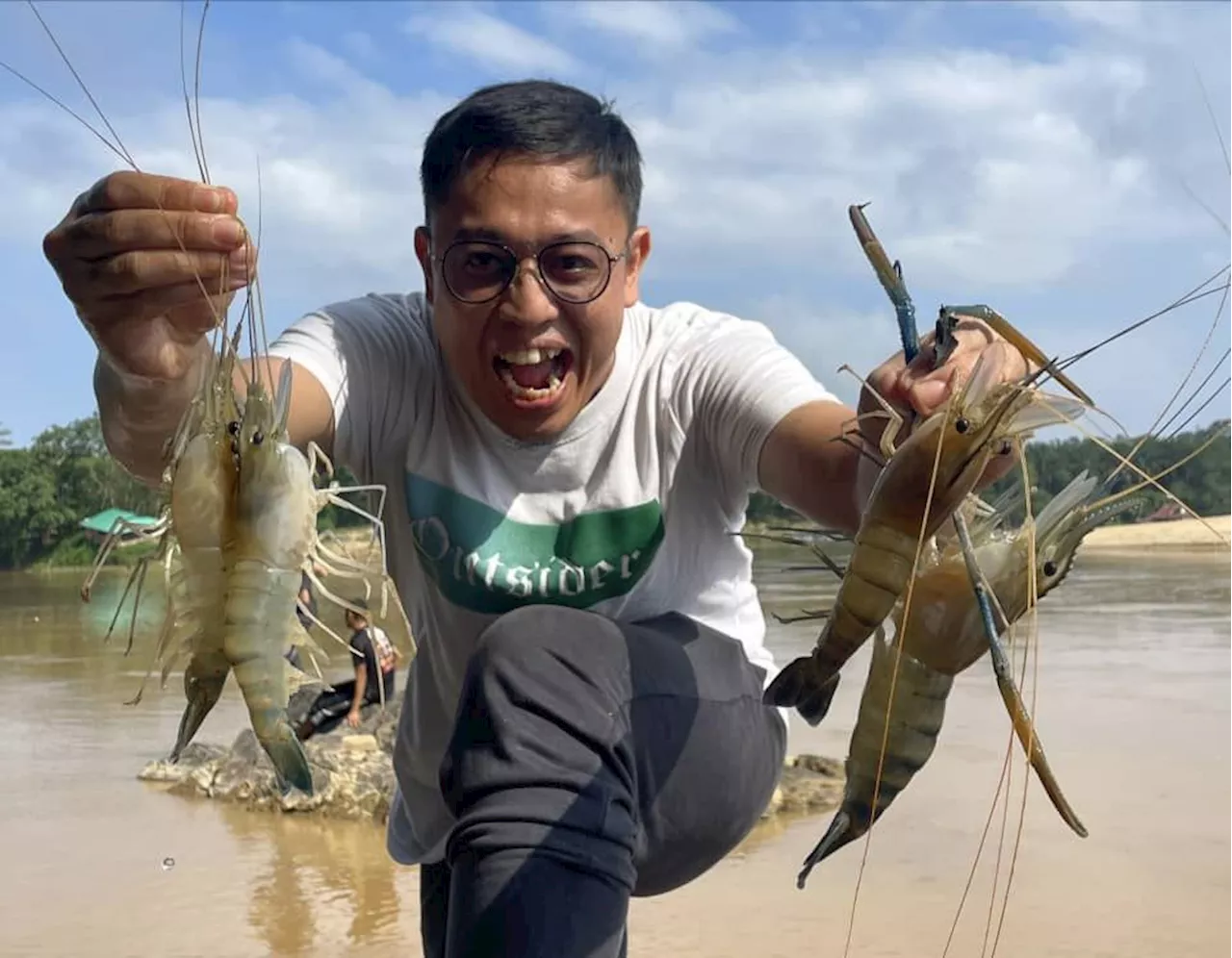 Kemarau: Ikan, udang galah ‘pulang’ ke lubuk