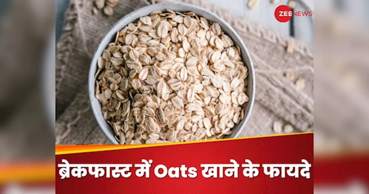 ब्रेकफास्ट में Oats खाने से मिल सकते हैं गजब के फायदे, दिनभर रहेंगे एक्टिव