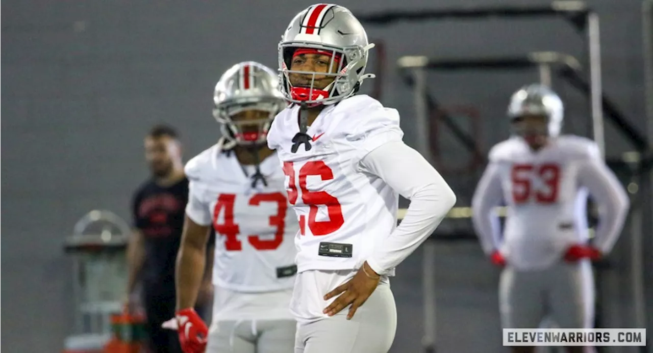 Ohio State Safety Cedrick Hawkins Enters Transfer Portal After One Season in Columbus