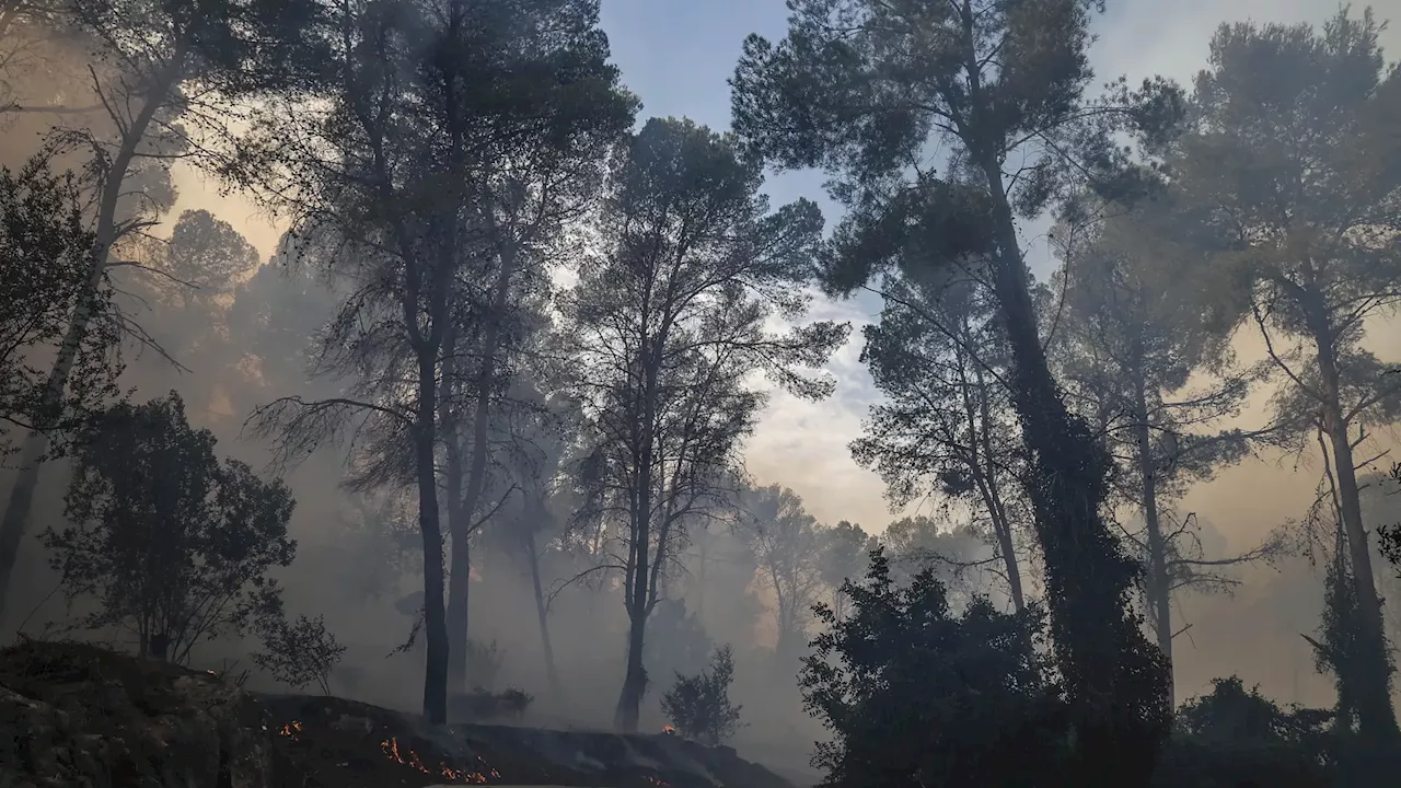 La Aemet alerta que se producirán más incendios fuera del verano por el cambio climático: 'Entramos en terreno inexplorado'