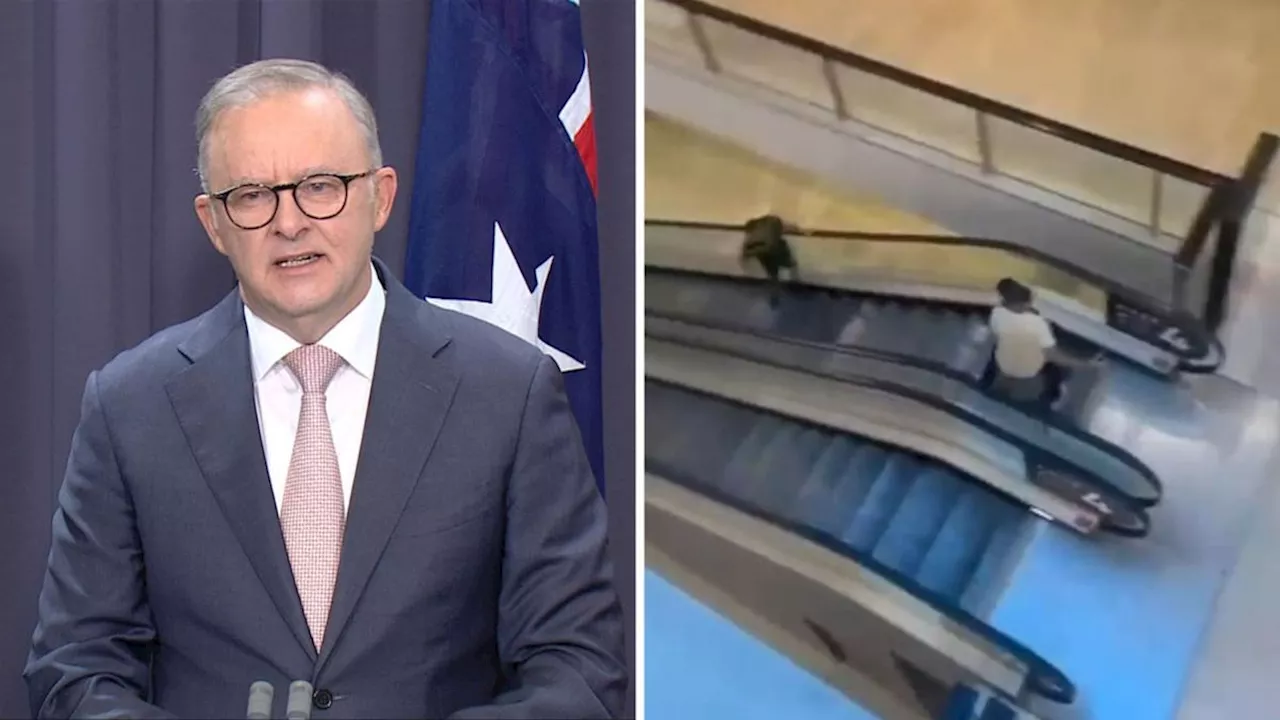 Anthony Albanese says ‘Bollard Man’ welcome to stay in Australia after heroics during Bondi Junction massacre