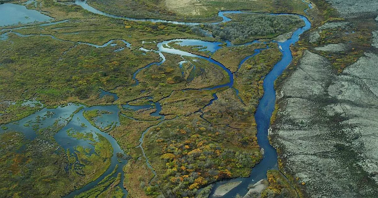 Army Corps denies permit appeal by Pebble mine developer