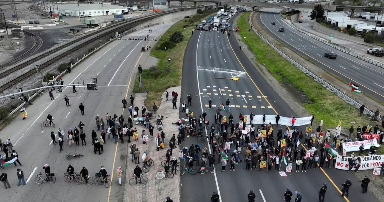 Pro-Palestinian demonstrators shut down airport highways and key ...