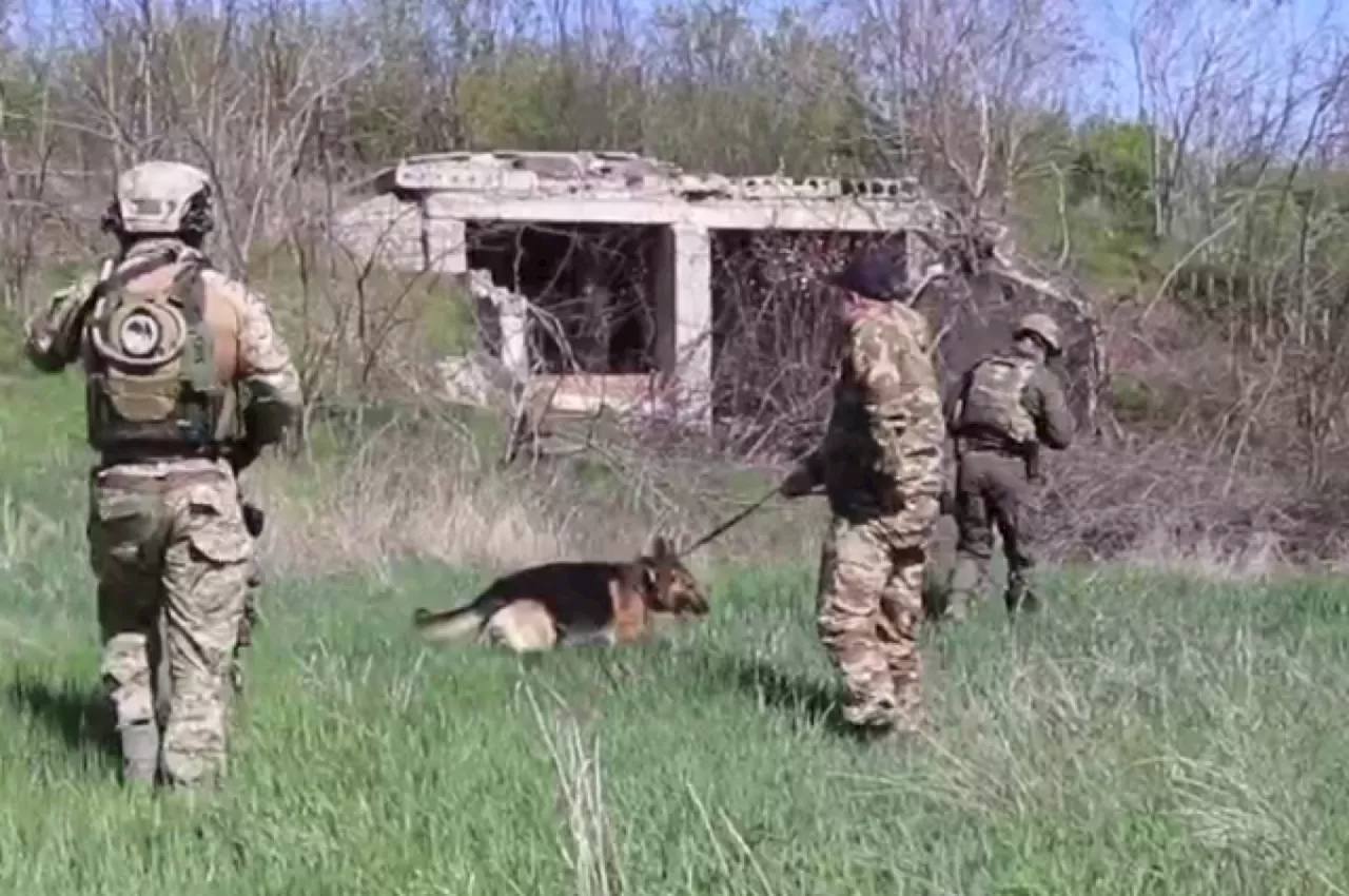 В заброшенном доме под Мелитополем нашли тайник с оружием и формой ВСУ