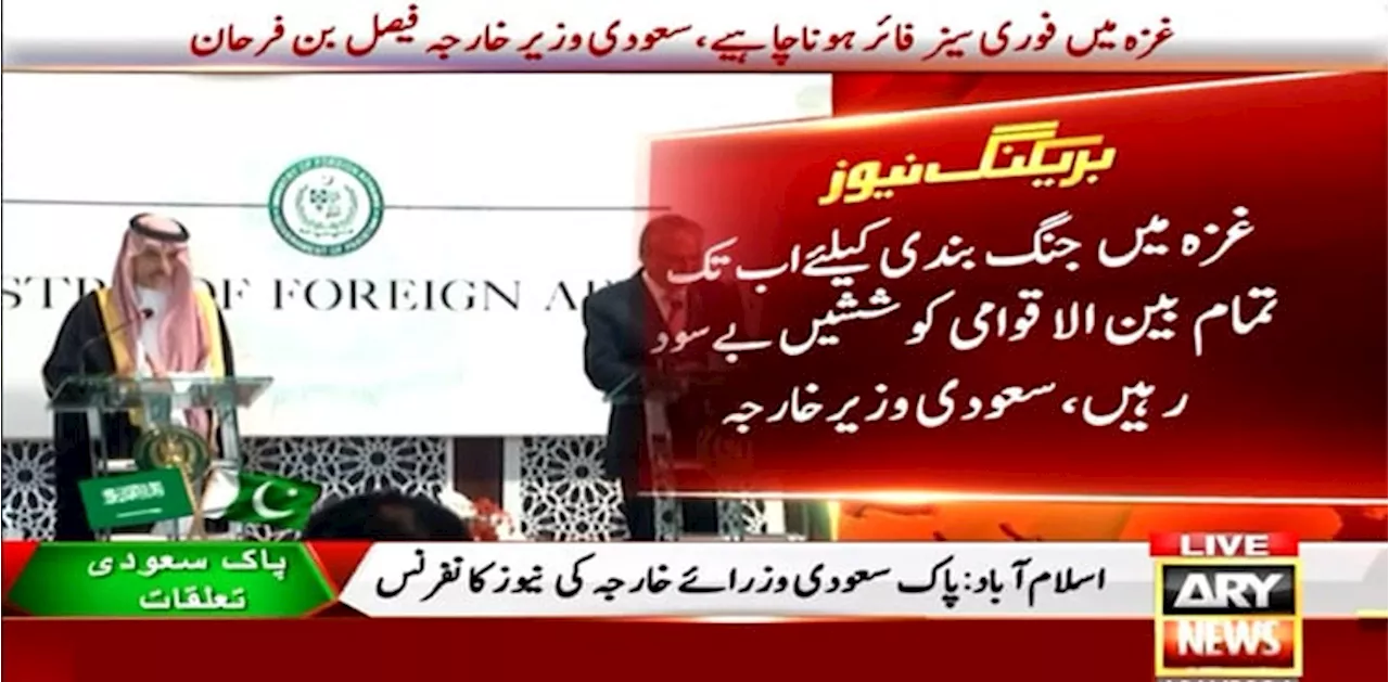 33 ہزارفلسطینیوں کے قتل پر مغرب خاموش تماشائی بنارہا، سعودی وزیر خارجہ
