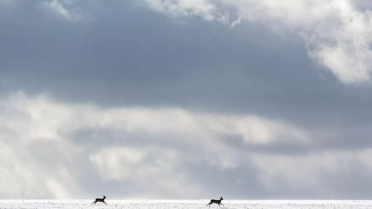 April macht, was er will: Nach Sommerwetter nun Schnee