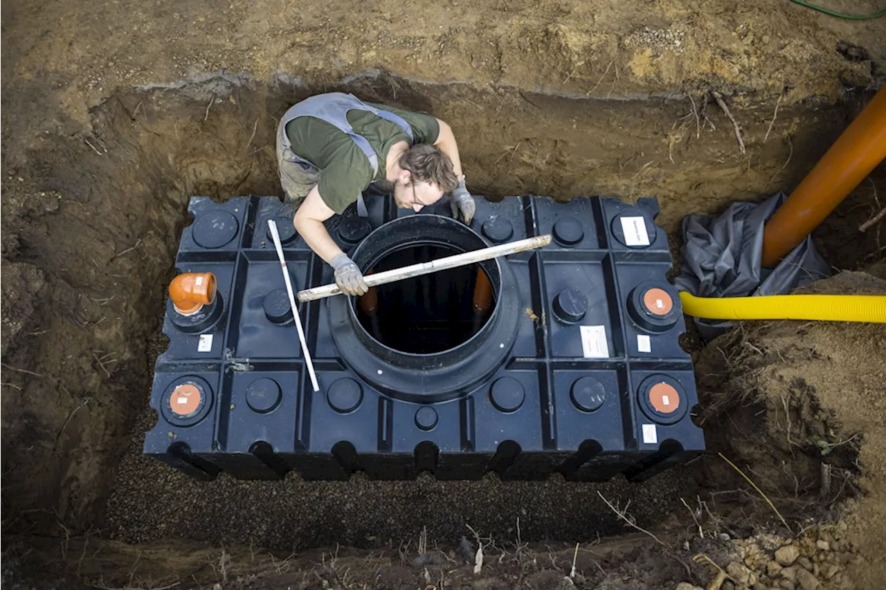 Drohende Trockenheit: So bunkern Sie Regenwasser für schlechte Zeiten