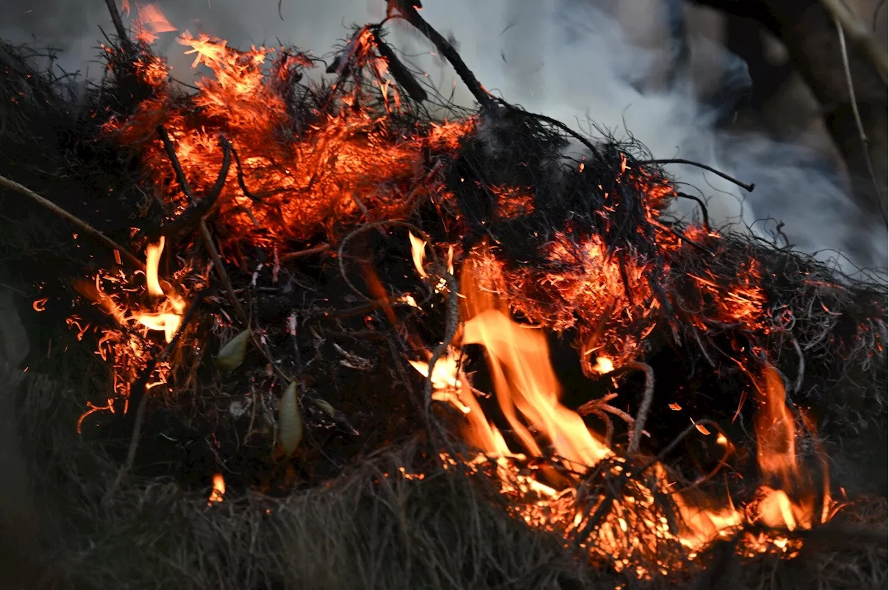 Sequías no solo generan escasez del agua: declaran alerta por incrementos de incendios