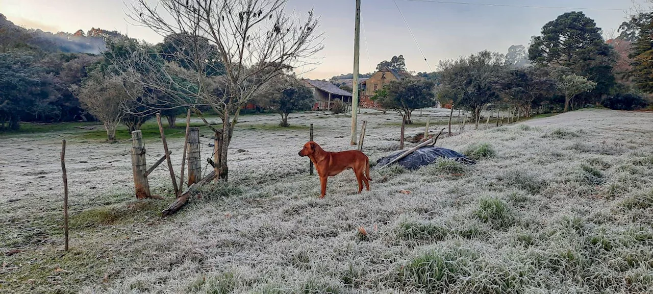 Após tempestades, Inmet alerta para geadas na região Sul nos próximos dias