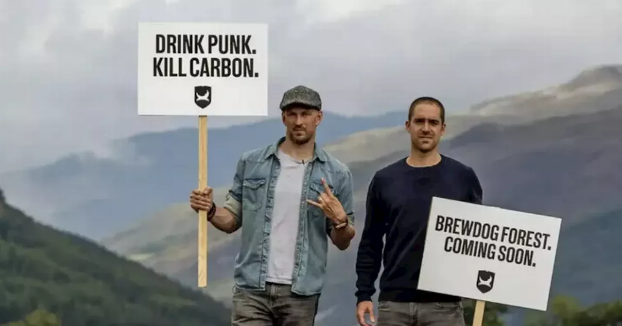 BrewDog confess Lost Forest bid in tatters after half of trees die