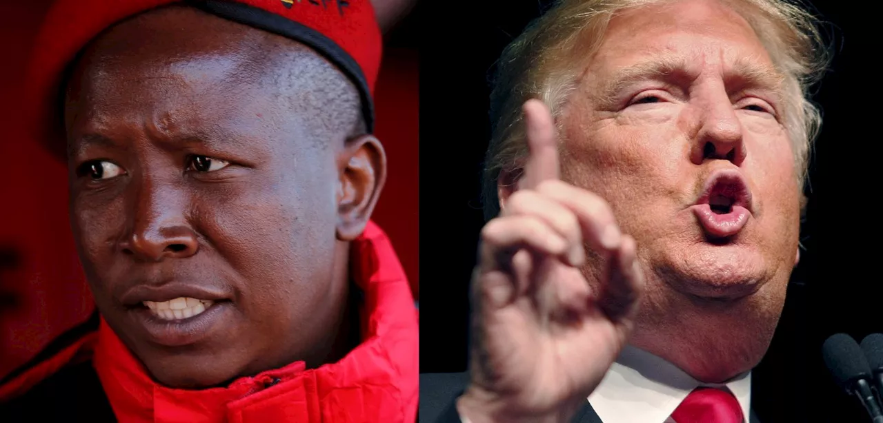 After the Bell: Why Julius Malema is the mirror image of Donald Trump