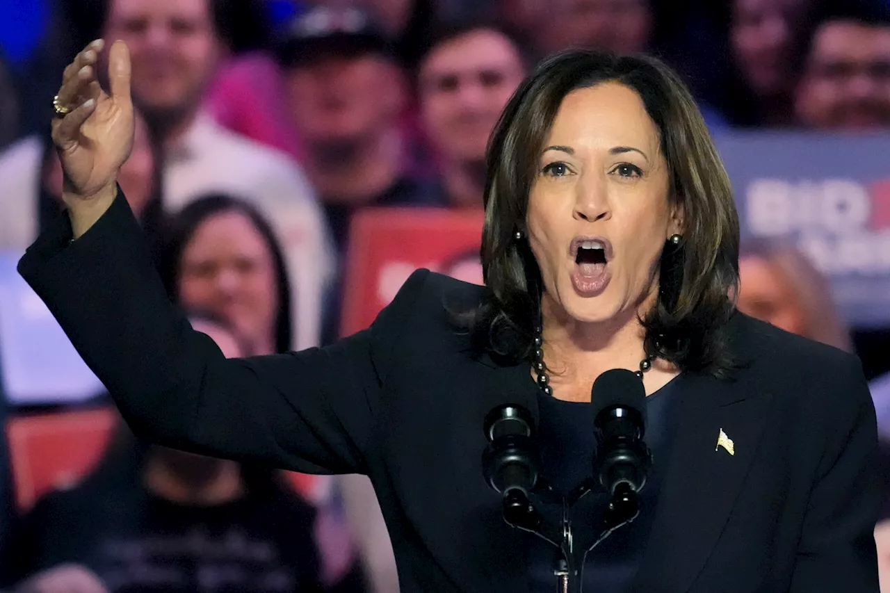 Vice President Kamala Harris blames ‘Trump abortion ban’ for a ‘health care crisis’