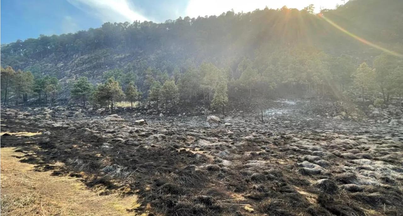 Incendio forestal arrasa con 275 hectáreas del Parque Nacional Lagunas de Zempoala en Morelos