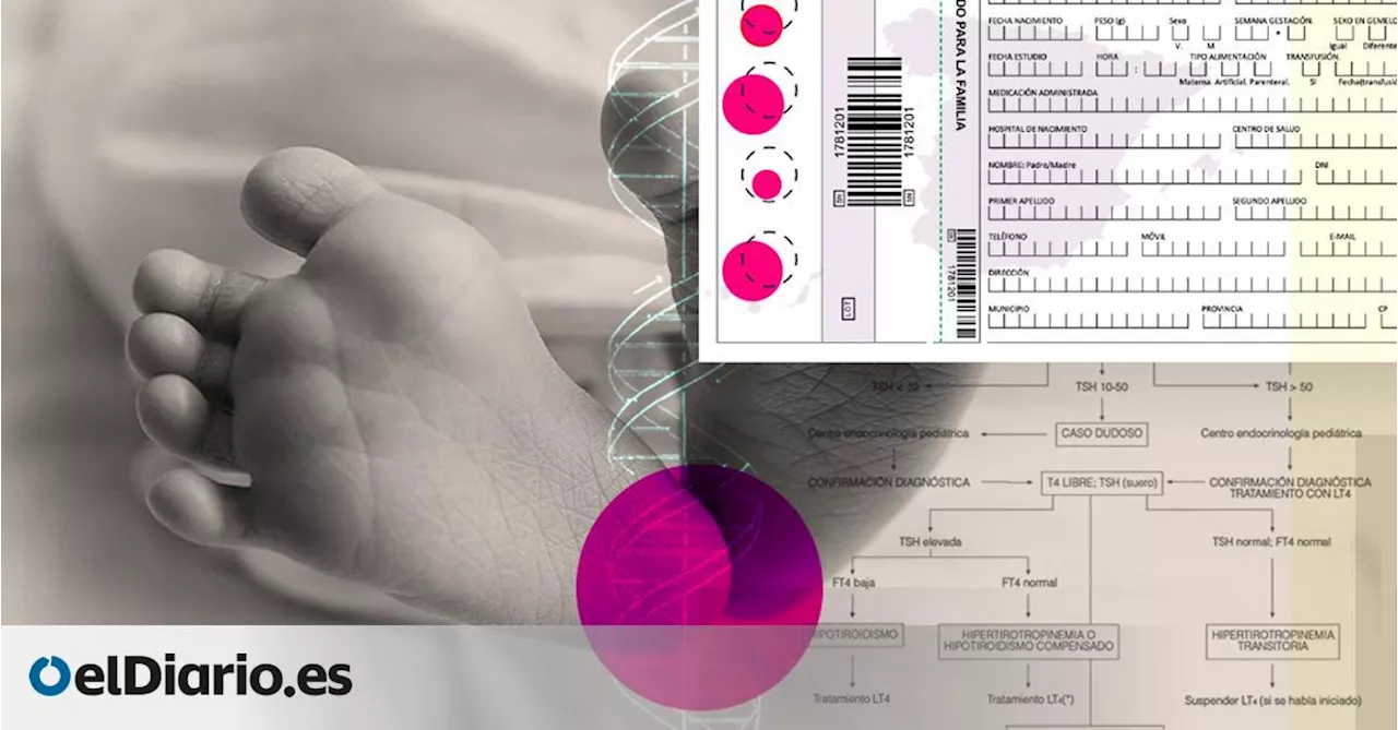 Sanidad duplica las pruebas del talón: estas serán las nuevas enfermedades de cribado obligatorio en bebés