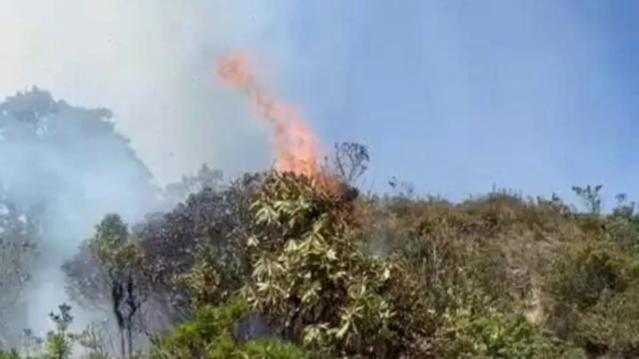 Reportan incendio forestal en cerro del sur de Bogotá, en plena crisis por el agua