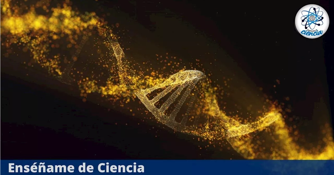 Descubrimiento científico revela que el ADN humano ha comenzado a evolucionar