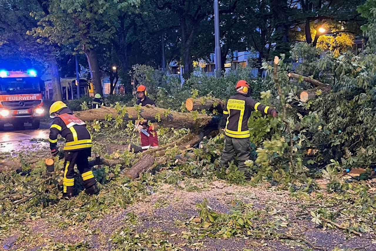 Unwetter: Große Zugverspätungen, verletzte Passanten