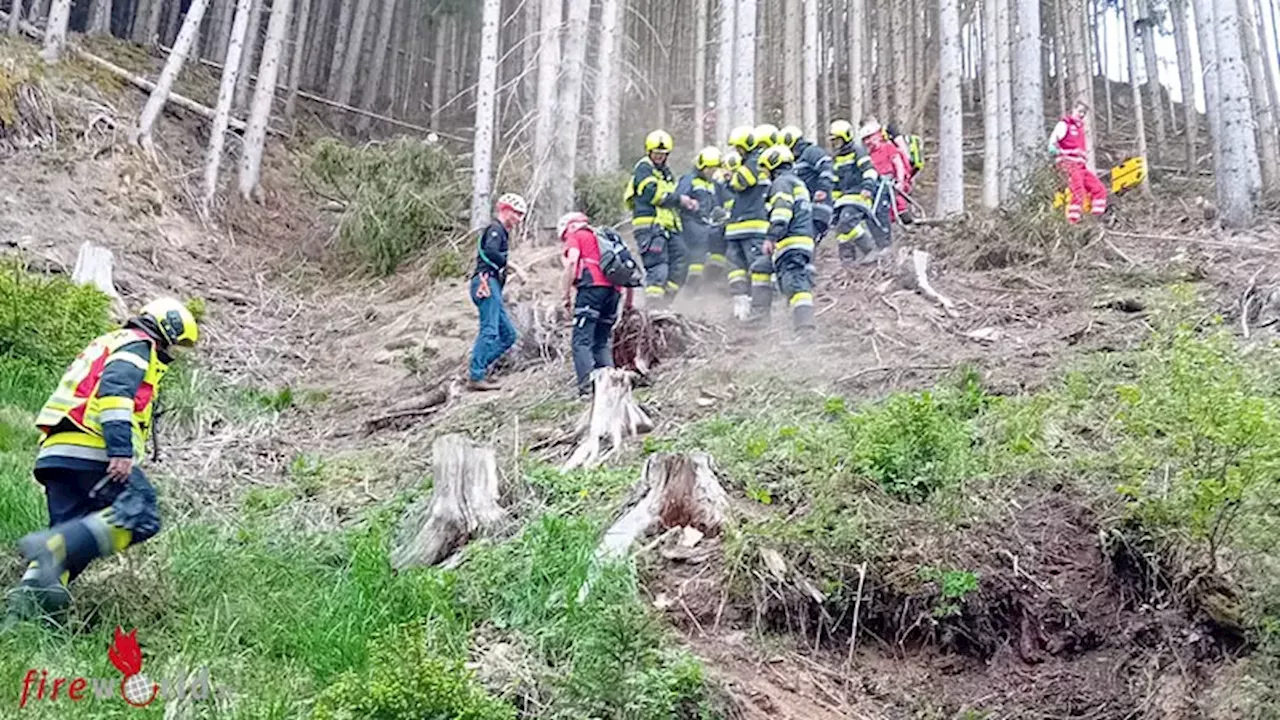 Stmk: Baum prallt bei Forstunfall gegen Arbeiter → Personenrettung im schwierigen Gelände