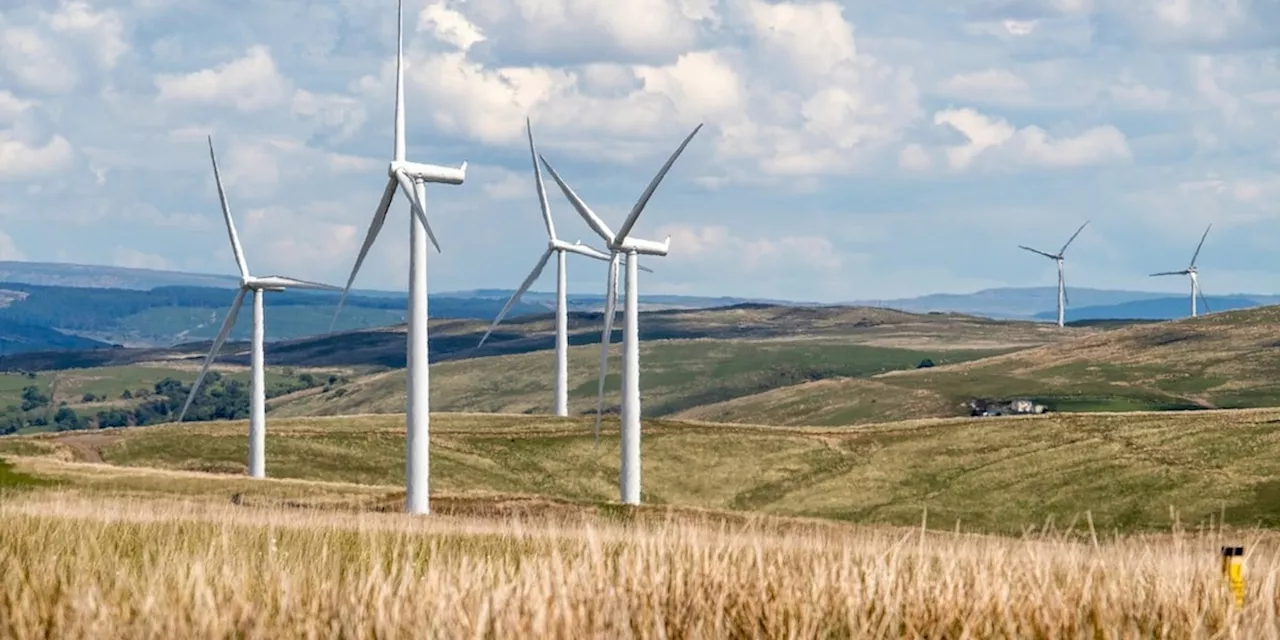 Trotz Erneuerbarer Energien: Darum bleibt unser Strom so teuer