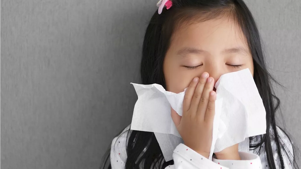 How to minimize symptoms of seasonal allergies