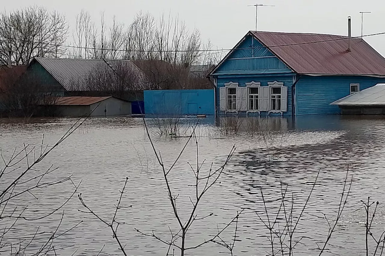 Уровень реки Урал в оренбургском селе превысил критический уровень на 23 см