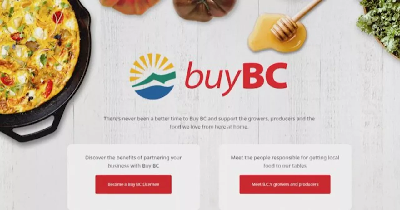 Second B.C. grant program facing scrutiny amid conflict concerns