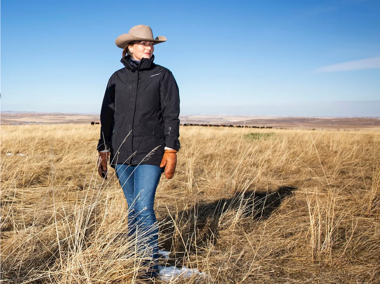 Judge orders Alberta to hand over documents related to coal policy