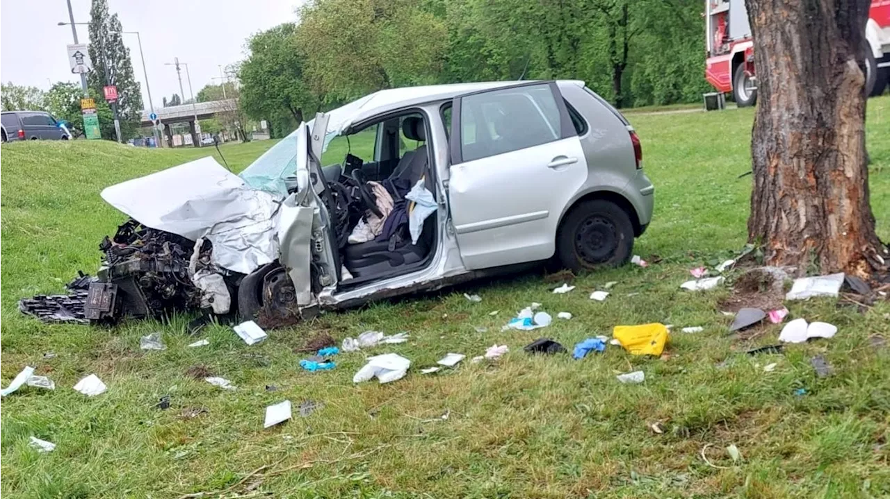 Lenkerin kracht bei Crash in Wien gegen Baum