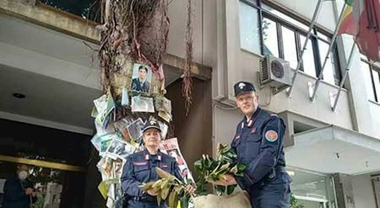 Pescara, il sindaco Masci agli ambientalisti: «Lascio duemila alberi in più per il patrimonio verde»