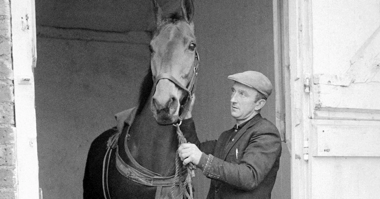 Paddy Woods recalls the day Arkle came to Tolka Park