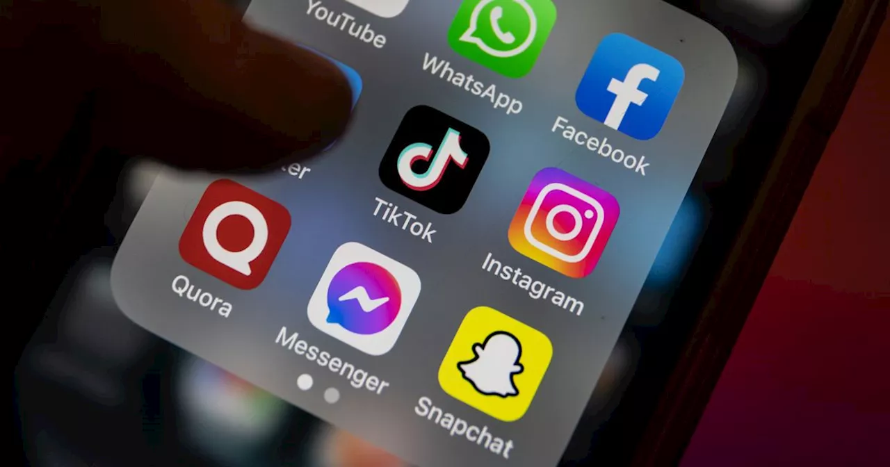 RTE Prime Time experiment finds 'heinous' content suggested to teens on TikTok