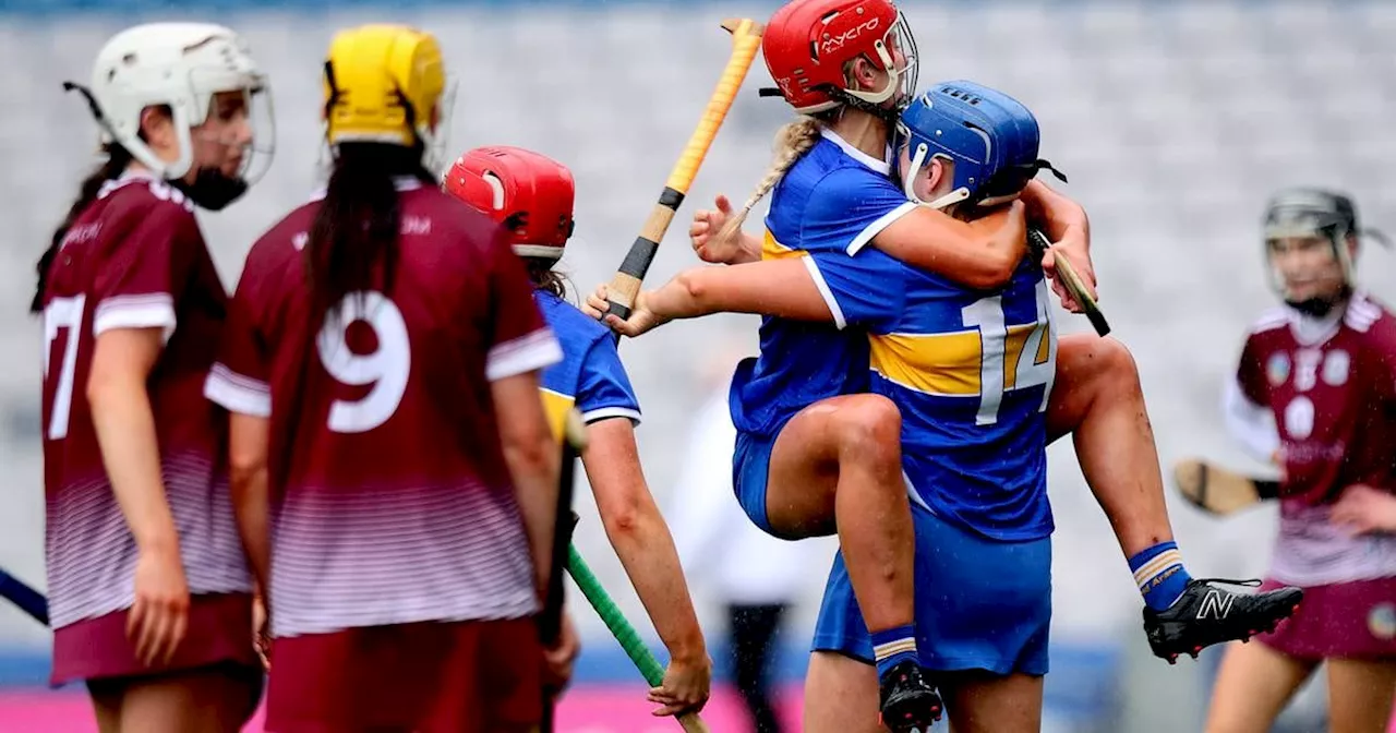 Dublin’s Niamh Gannon frustrated by skorts decision at Camogie Congress