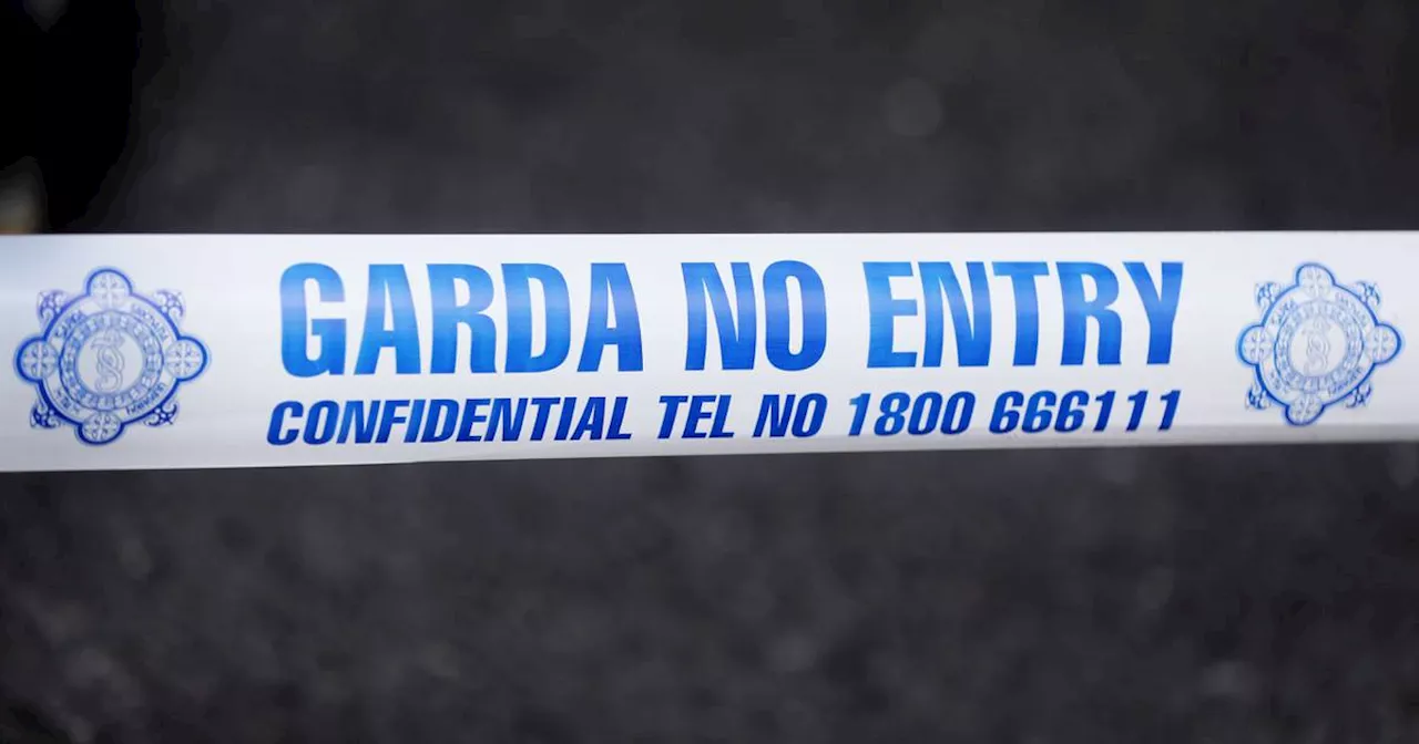 Woman dies after becoming trapped under car near Wexford town