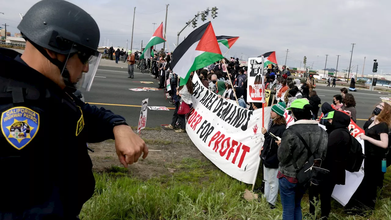 Pro-Palestinian demonstrators shut down major US airport roads and bridges