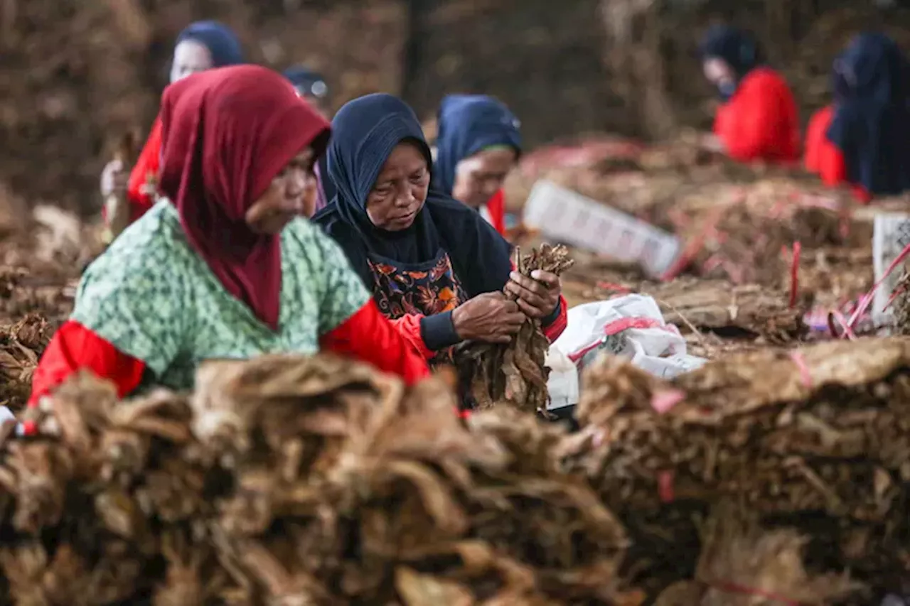 Kalangan Pekerja Seni Minta Aturan Tembakau di RPP Kesehatan Dikaji Ulang