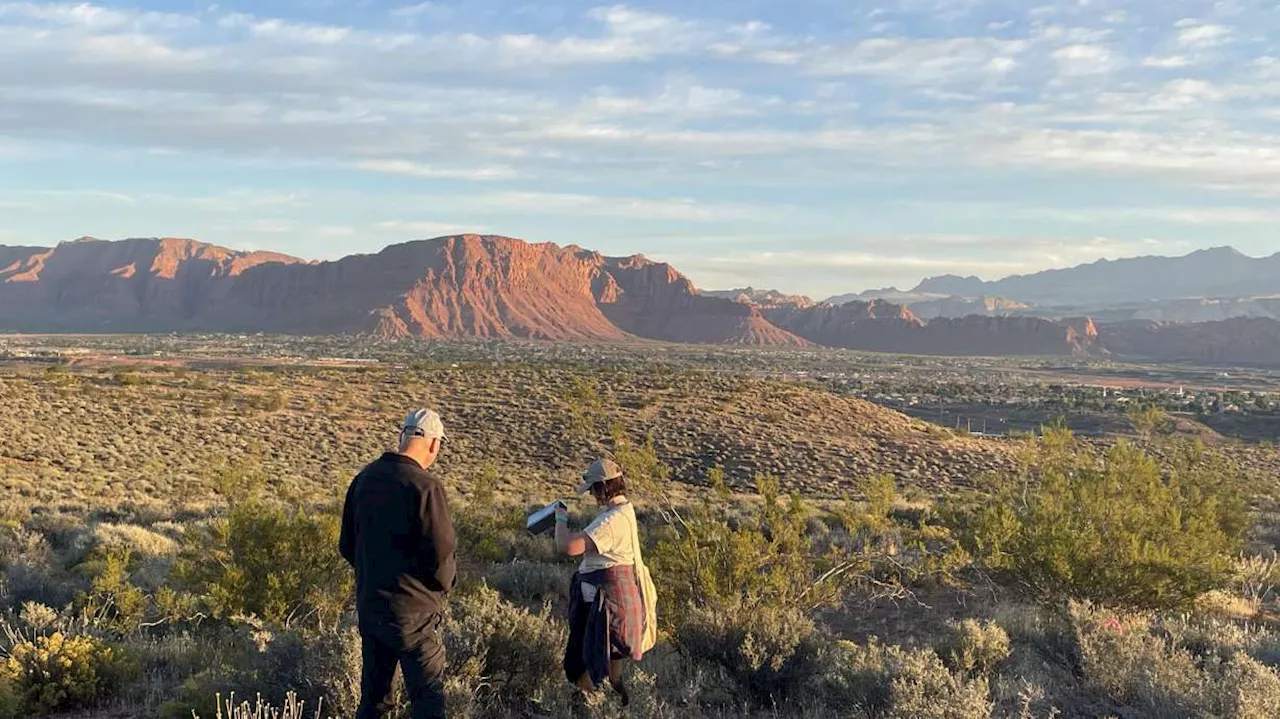 University of Utah researchers collecting samples to map Valley fever's spread through dirt spores