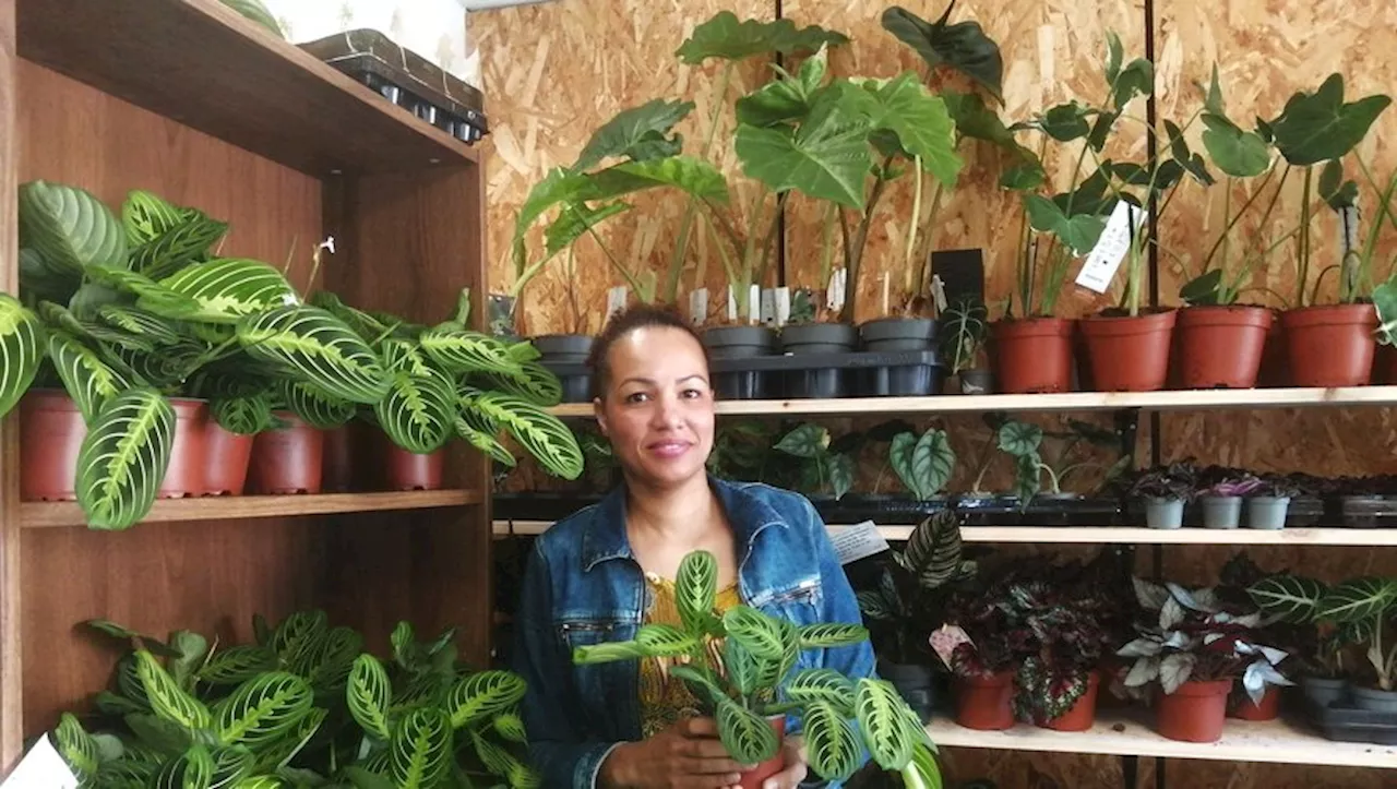 Toulouse : A Saint-Cyprien, entrez dans la jungle urbaine de Manolita