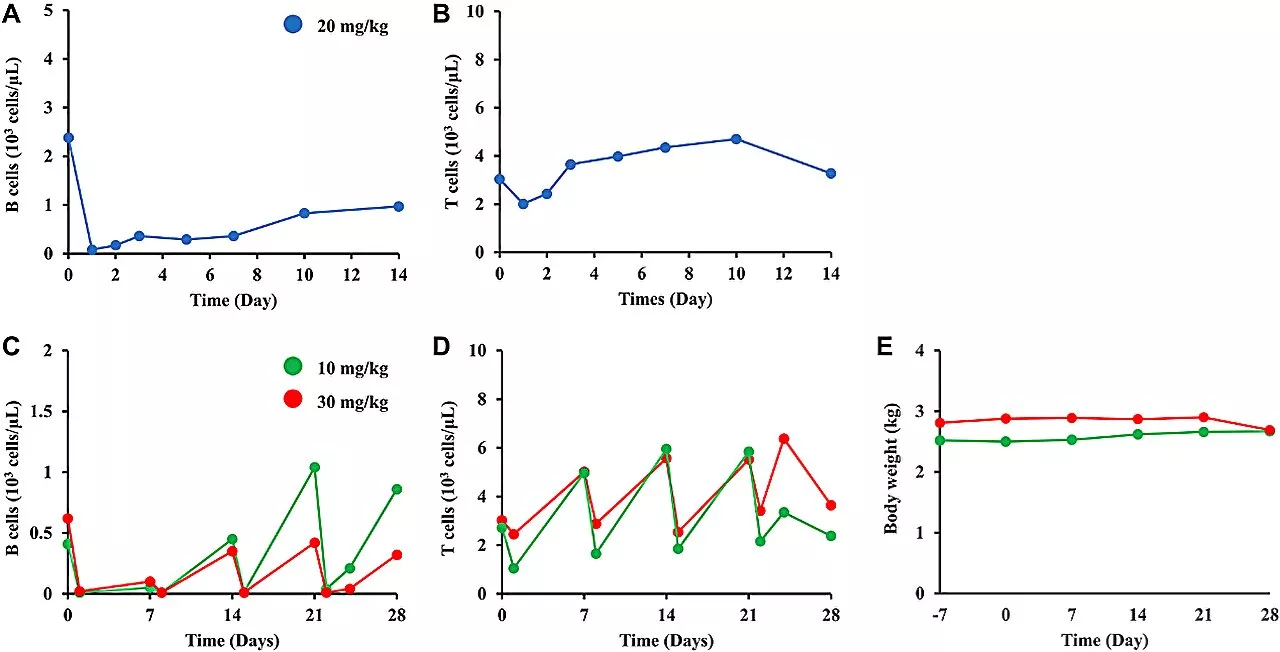 Novel therapeutic bispecific antibodies for B-cell lymphoma