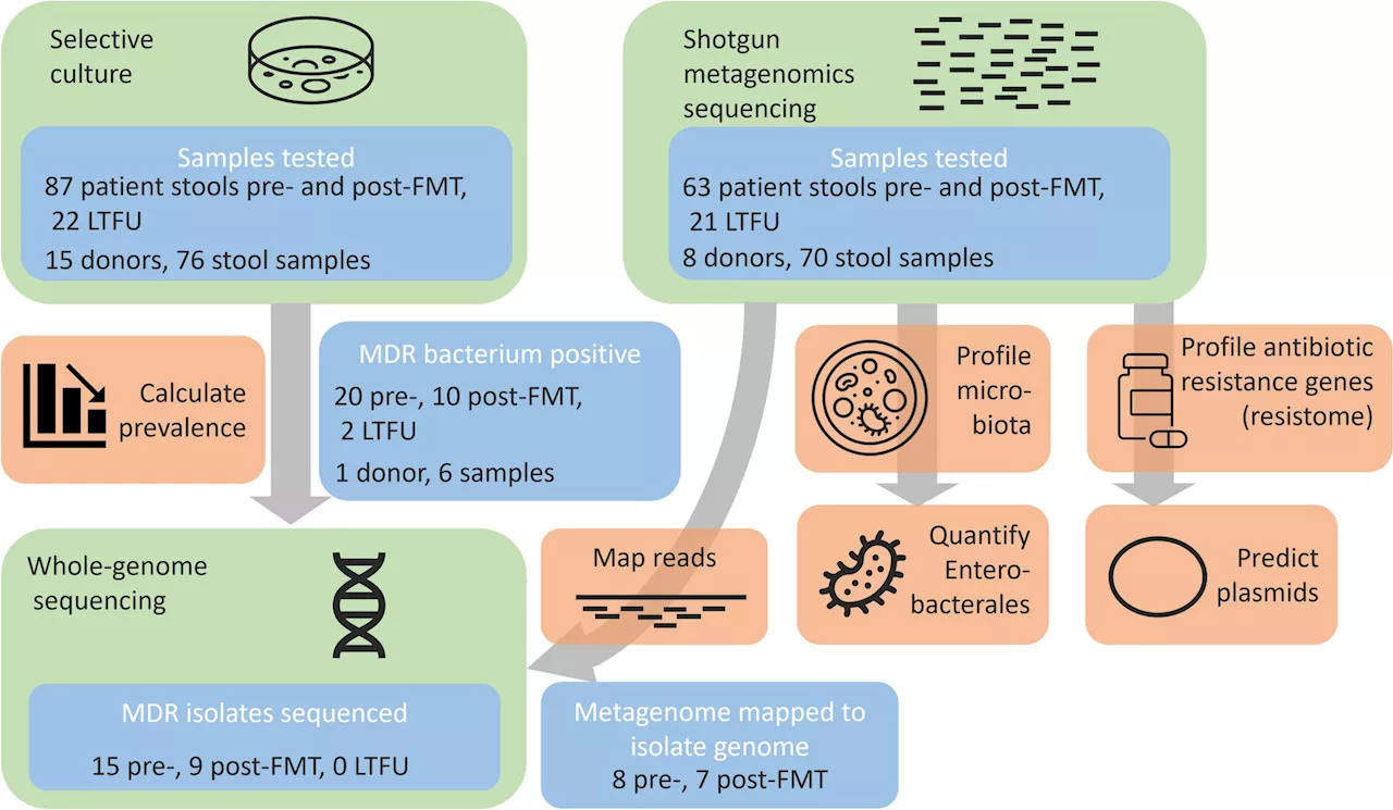 Researchers conclude fecal transplants can rid patients of resistant gut bacteria